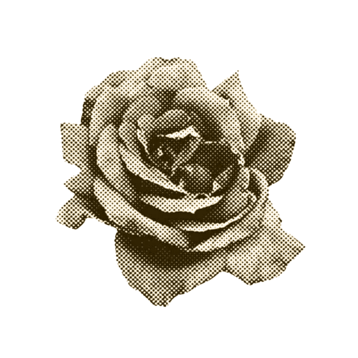 Image d'illustration 2